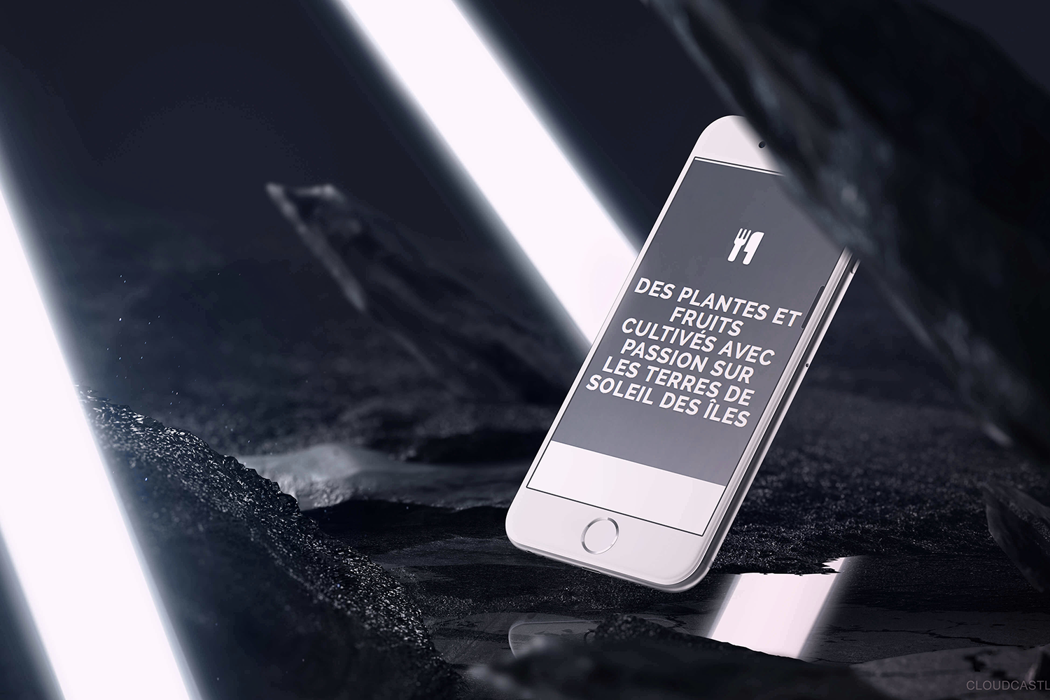 An image showing the FISSI website presented in a mock up